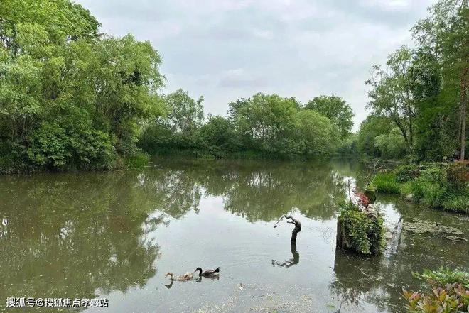 24网站)鑫湾甲邸售楼处电话-户型配套long8唯一网站鑫湾甲邸售楼处(20(图7)